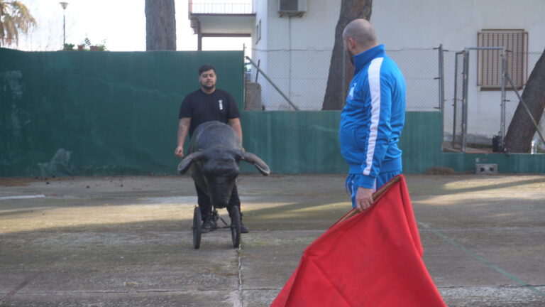 12.LA CALCULADORA