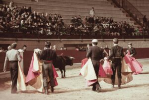 Captivating scene of bullfighters in a classic arena, showcasing traditional bullfighting culture.